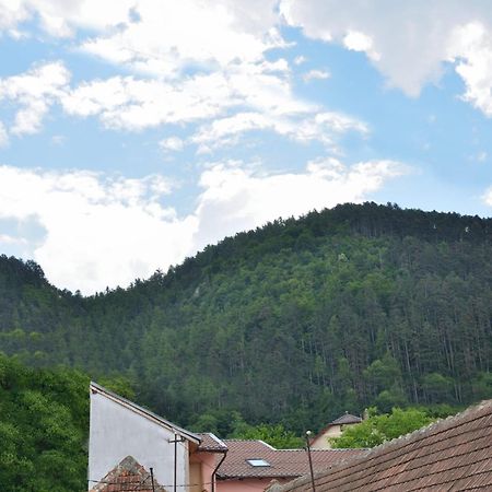 Casa Chiper - Attic Apartment With View Брашов Экстерьер фото